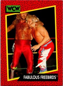 1991 WCW Wrestling Card Fabulous Freebirds sk21181