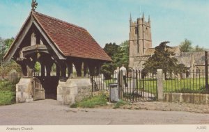 Pewsey Church Interior Wiltshire & Pewsey 1905 Frank Postcard