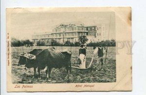 424433 Spain Canary Islands Las Palmas Hotel Metropol Bullock cart OLD postcard