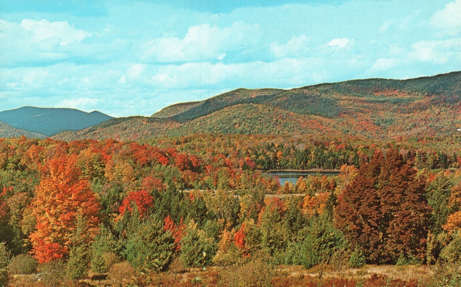 Vintage Postcard Beautiful Mountain Trees Route 4 Shelburne Vermont VT