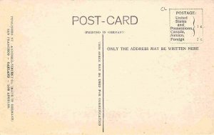 Log Chute Logging Pacific Northwest Region 1910c postcard