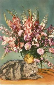 \Cat and flkowers vase\ Nice Italian Postcard