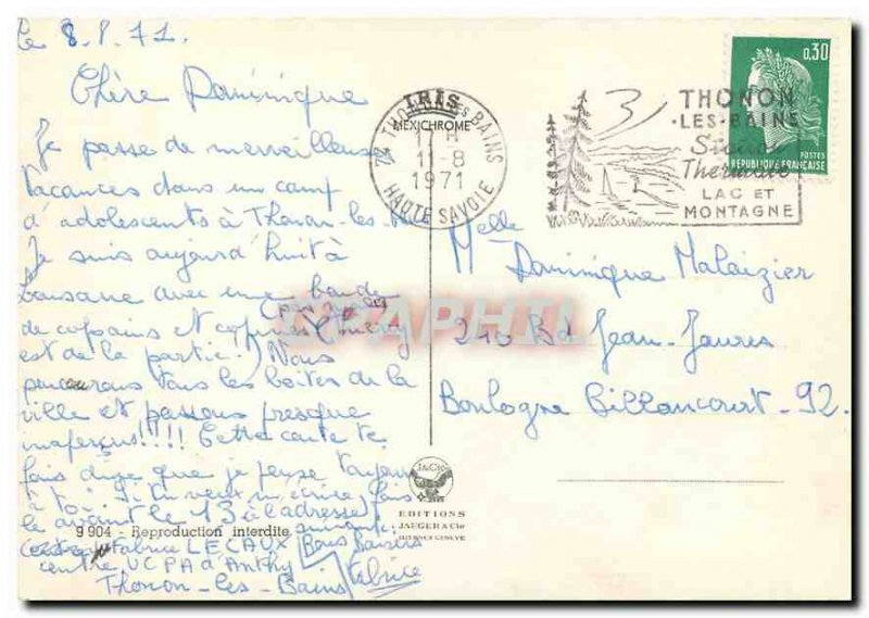 Modern Postcard To you I Heart Cow