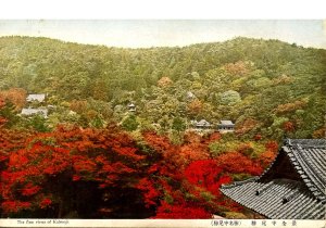 Japan - Katsuoji View