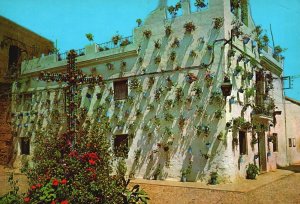 Mai Crus Cordoi Plants And Flowers Hanged On Wall Spain Postcard