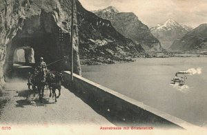 Switzerland Axenstrasse mit Bristenstock Vintage Postcard 04.19