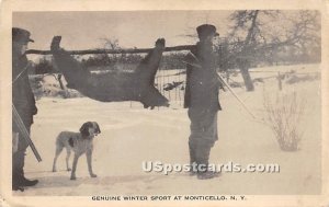 Genuine Winter Sport Bear - Monticello, New York NY  