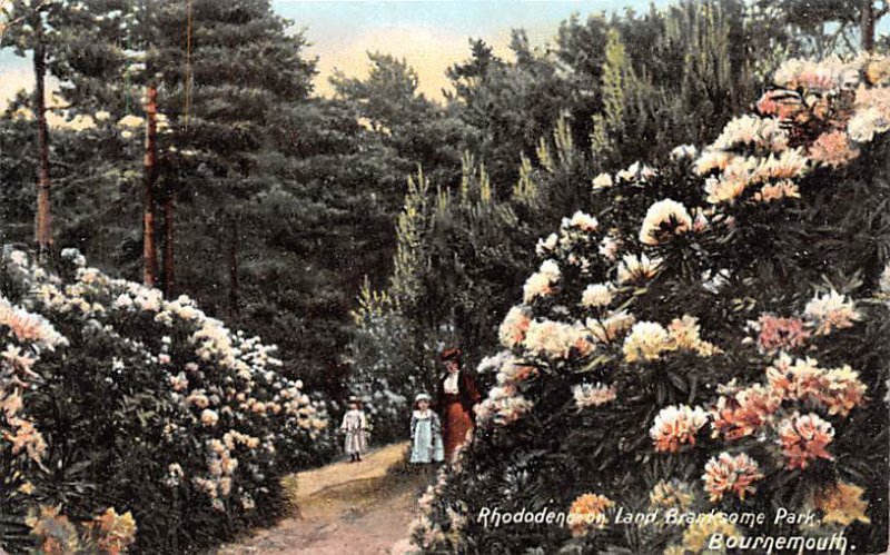 Rhododendron Land Brantsome Park Bournemouth United Kingdom, Great Britain, E...