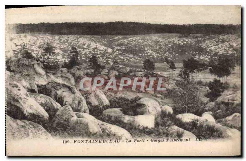 CPA Fontainebleau La forêt Gorges d'Apremont 