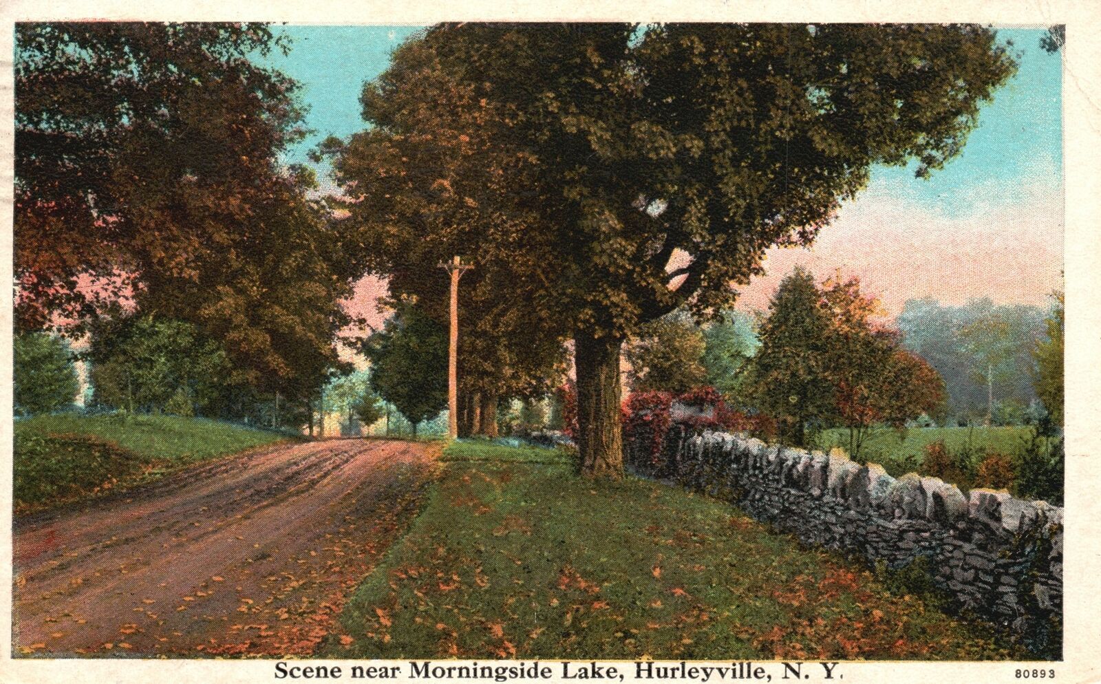 Vintage Postcard 1927 Scene Near Morningside Lake Trees Hurleyville New
