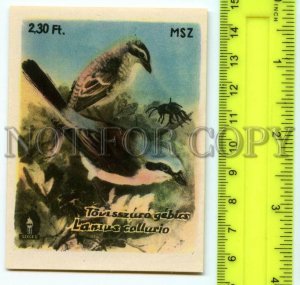 500287 HUNGARY Bird Lanius Collurio Vintage match label