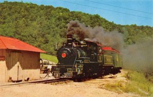 BLOWING ROCK, North Carolina NC   TWEETSIE RAILROAD Train Locomotive  Postcard