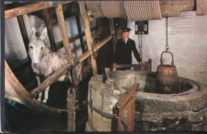 Isle of Wight Postcard - Donkey in The Wheel, Carisbrooke Castle   RS11381