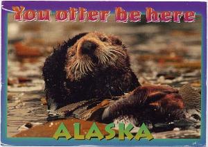 You Otter Be Here - Greetings from Alaska -  pm 2001