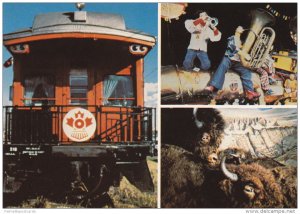 3 Views, Discovery Train, Music Exhibit, Bison, Exhibit, Ottawa, Ontario, Canada