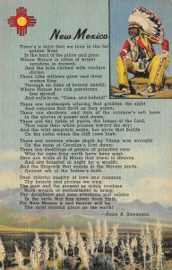 NEW MEXICO Sunshine State Anna Stevenson Poem Indian Chief Vintage Postcard