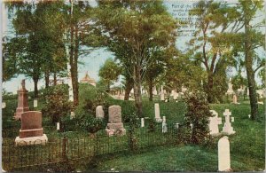 Hamilton Ontario Cemetery c1908 Postcard F82