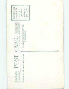 Divided-Back BEAUTIFUL FLOWERS SCENE Great Postcard AA3378