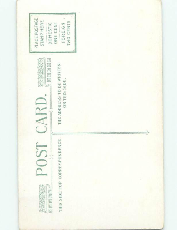 Divided-Back BEAUTIFUL FLOWERS SCENE Great Postcard AA3378