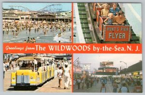 GREETINGS FROM THE WILDWOODS BY THE SEA NJ*HUNTS PIER ROLLER COASTER*4 VIEWS