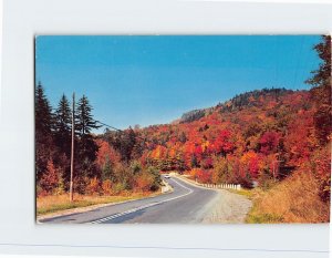 Postcard - The handiwork of Jack Frost's autumn, Pocono Mountains - Pennsylvania