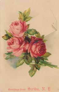 Rose Flower Greetings from Scriba, Oswego County NY, New York - DB