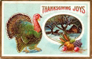 Thanksgiving Greetings With Turkey 1911