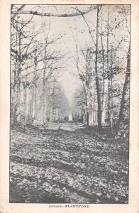 BRADFORD MASSACHUSETTS AUTUMN VIEW ON DIRT ROAD~BROOK VIEW LOT OF 2 POSTCARDS