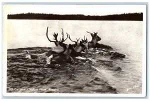 1942 View Of Caribou Yukon River Anchorage Alaska AK Posted Vintage Postcard