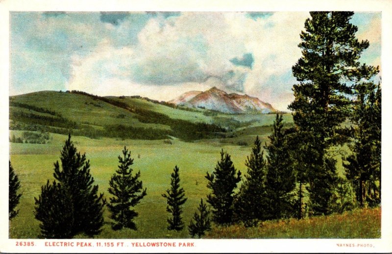 Yellowstone National Park Electric Peak Haynes Photo