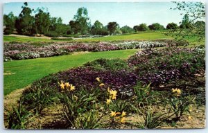 Postcard - South Coast Botanic Garden, Palos Verdes Peninsula, California, USA 