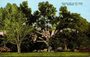 Louisiana New Orleans Suicide Oak In City Park