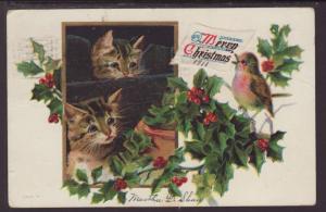 A Merry Christmas,Cats,Bird,Holly Postcard