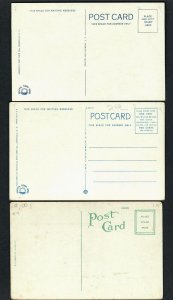 #784ef (3) Pcs. Fla, Australian Pines & Auto, Along Shore, An Arbor Bougainville