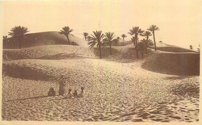 Postcard Africa the dunes and a palm tree