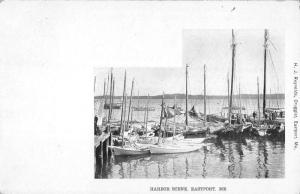 Eastport Maine Harbor Scene Sail Boats Antique Postcard K34872