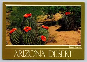 Barrel Cactus On The Desert Arizona Vintage Unposted Postcard