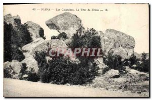 Postcard Old Piana Creeks The Dog Tete