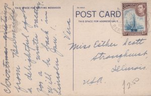 Bermuda Custard Apple Tree Elephant Ears Linen Postcard 05.32 