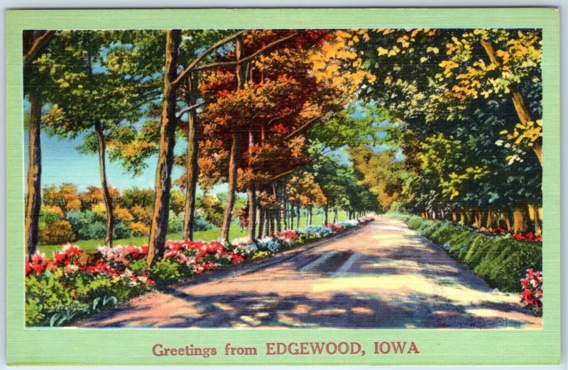 x9 LOT c1940s Edgewood, IA Greetings from NYCE Landscape Linen Postcards A257