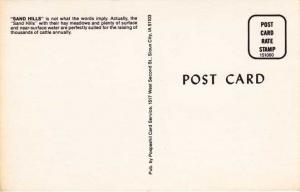 Sand Hills Cattle and Windmill - Nebraska