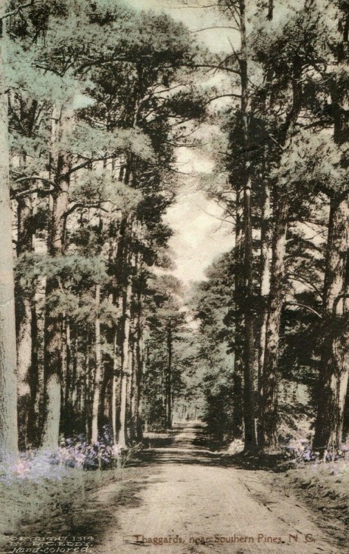 1914 Thaggards Road, Southern Pines, NC. Hand Tinted Postcard P174 