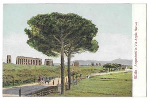 Italy Rome Acquedotti Via Appia Nuova Appian Way Postcard