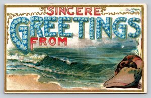 Sincere Greetings Shell on Beach with Waves Embossed Vintage Postcard 0966