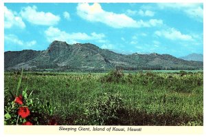 Sleeping Giant Nounou Mountain Near Kapaa  Kauai Continental Hawaii Postcard
