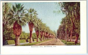 RIVERSIDE, CA  California    MAGNOLIA AVENUE  Street  Scene   c1900s   Postcard