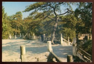 h2452- CHINA  Dingling Postcard 1960s Ming Tombs