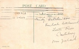 Animals Anthropomorphic Monkey Orchestra Violin Drum Flute 1908 postcard B920