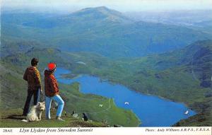 uk1980 llyn llydaw wales  real photo uk dog