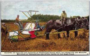 Algiers Primitive And Modern Methods Of Harvesting The Field Postcard